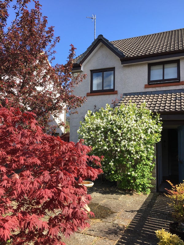 Photo 4: The outside of our house