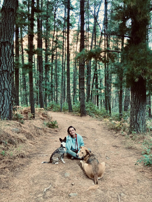 'Looking For A Pet Friendly Place To Live ' Flatmate from SpareRoom