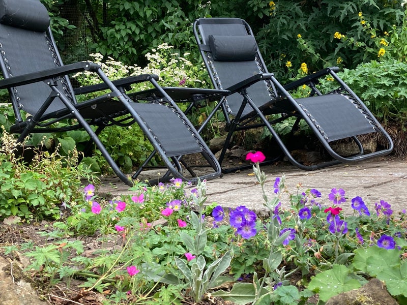 Photo 7: Garden
