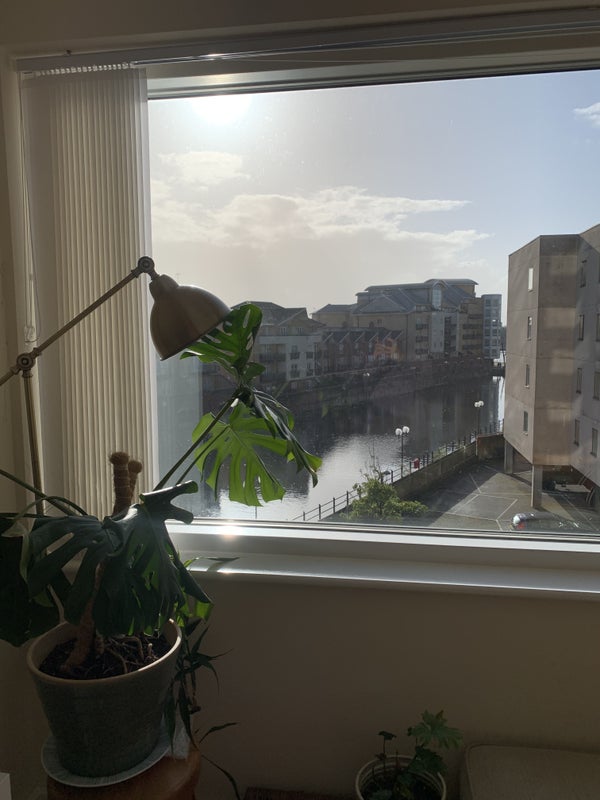 'Single room with parking space and ensuite' Room to Rent from SpareRoom