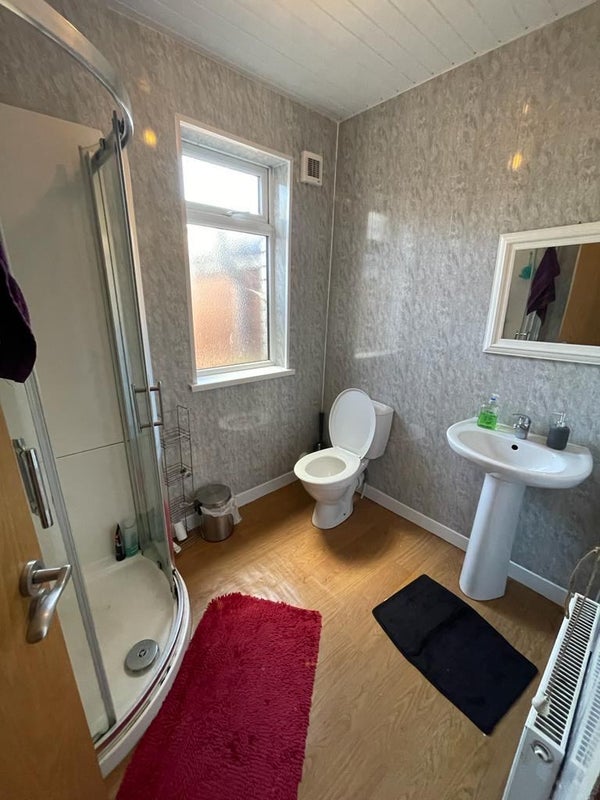 'New Room Near Queens Botanic Belfast' Room to Rent from SpareRoom