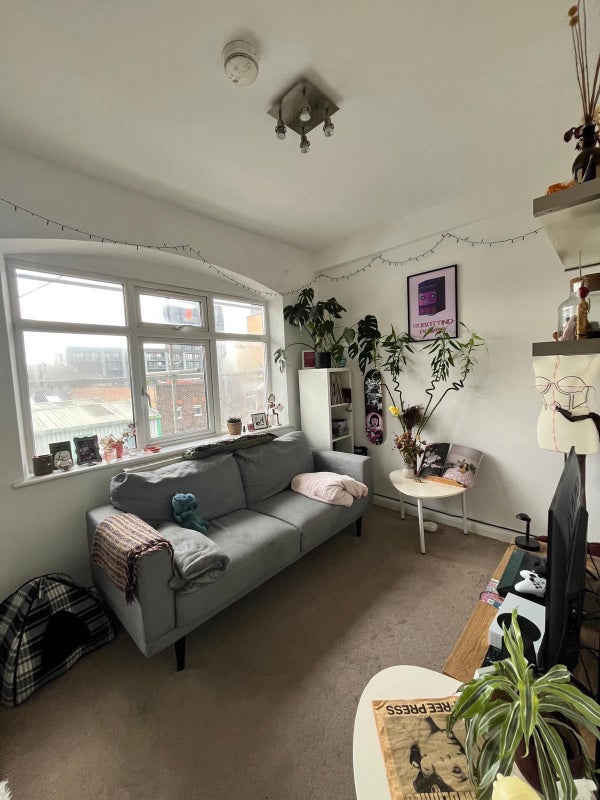 '1 month sublet in cosy flat in Homerton' Room to Rent from SpareRoom