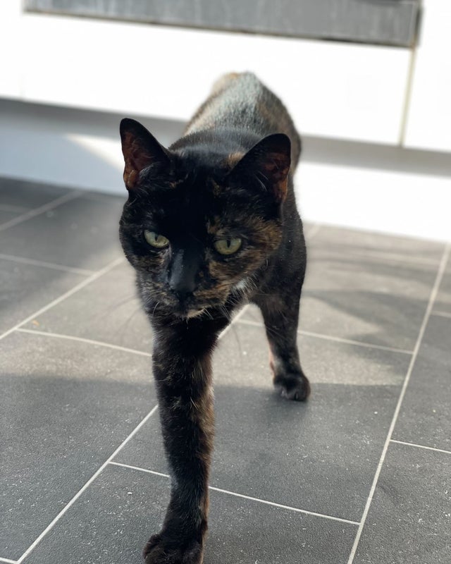 'Lovely big room w/ Sea view, short let ' Room to Rent from SpareRoom