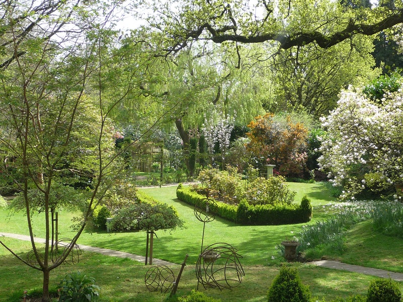 Photo 1: garden