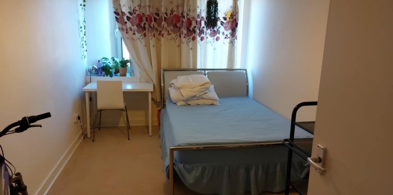 Photo 1: bedroom