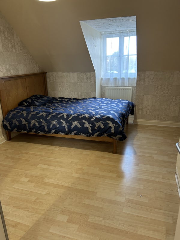 Photo 2: Large Bed room 