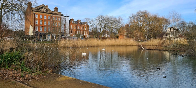 Photo 1: Barnes has a lovely village atmosphere around the pond