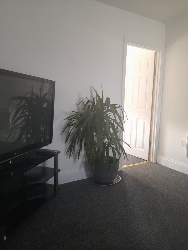 Photo 2: Private living room 