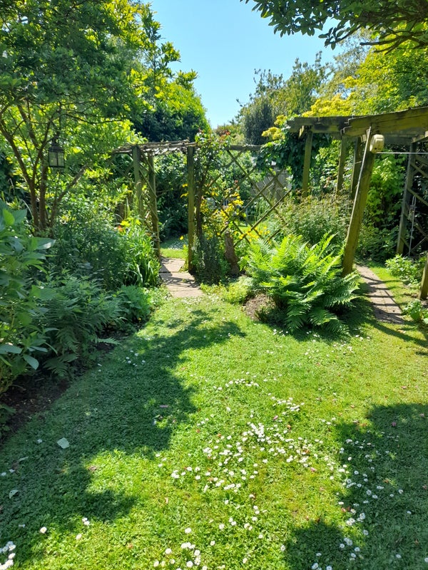Photo 4: Back garden