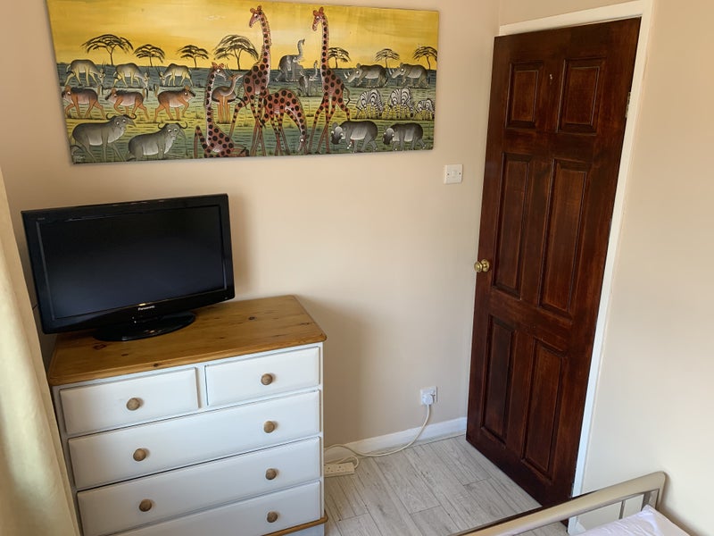 Photo 1: Bedroom TV