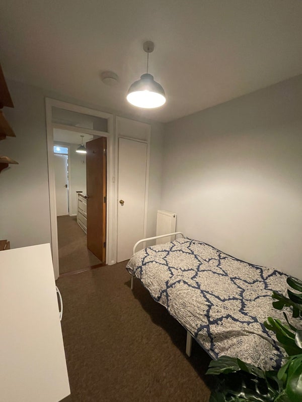 'Single Room for Rent' Room to Rent from SpareRoom