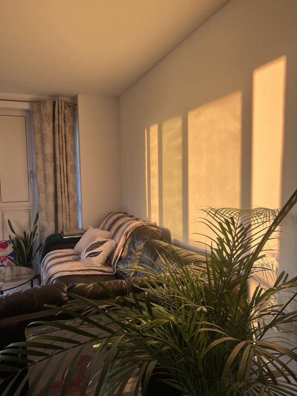 Photo 1: Shared living room 