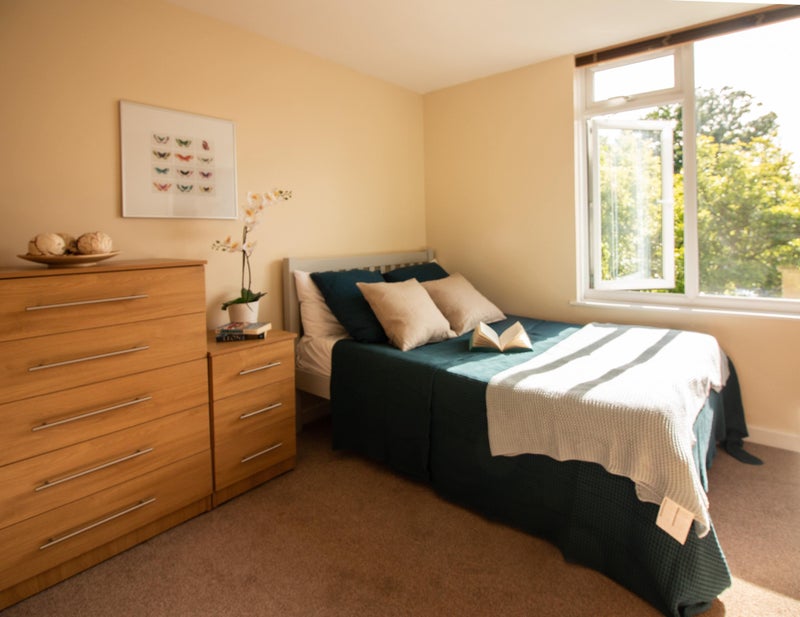 Photo 1: Spacious bright ensuite room - actual room