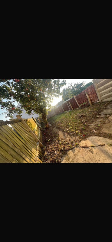 Photo 1: Shared garden 