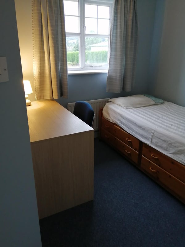 Photo 7: Bedroom 3