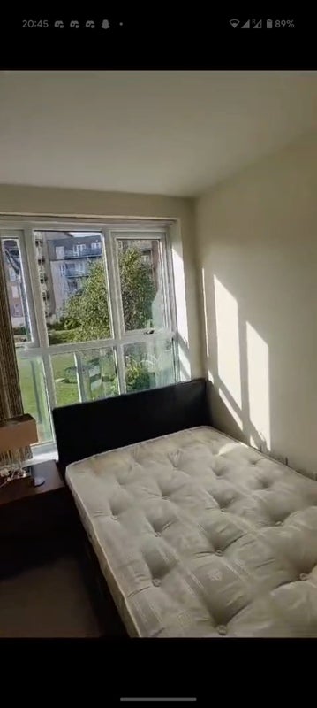 'Cozy single room for rent in friendly shared home' Room to Rent from ...