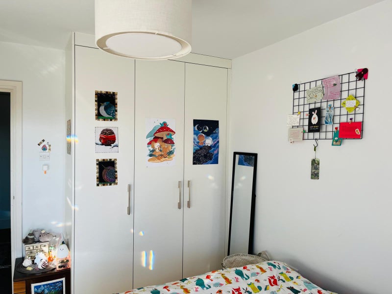 Photo 2: Cupboards in bedroom
