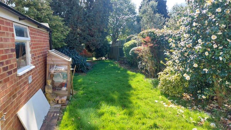 Photo 9: Garden