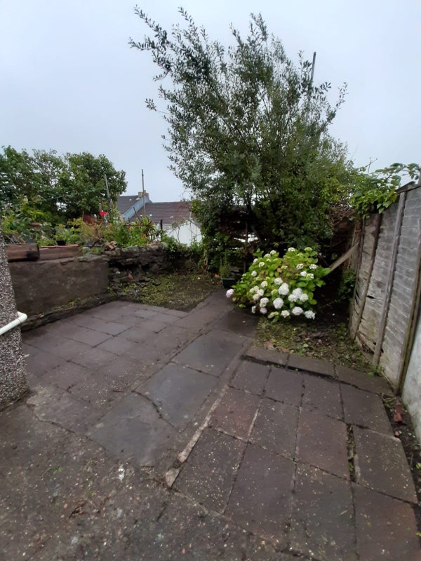 Photo 1: Back Garden