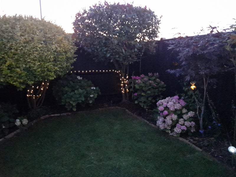 Photo 1: Summer Garden