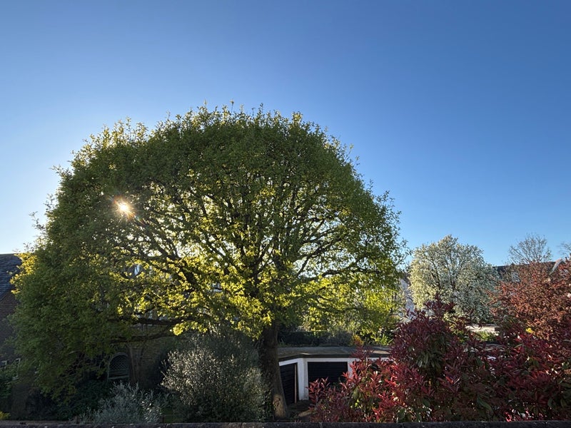 Photo 1: View from the terrace