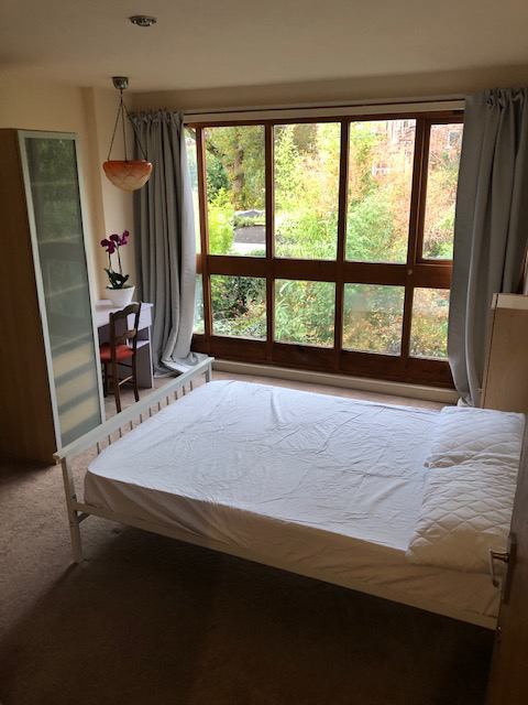 Photo 9: Garden facing room