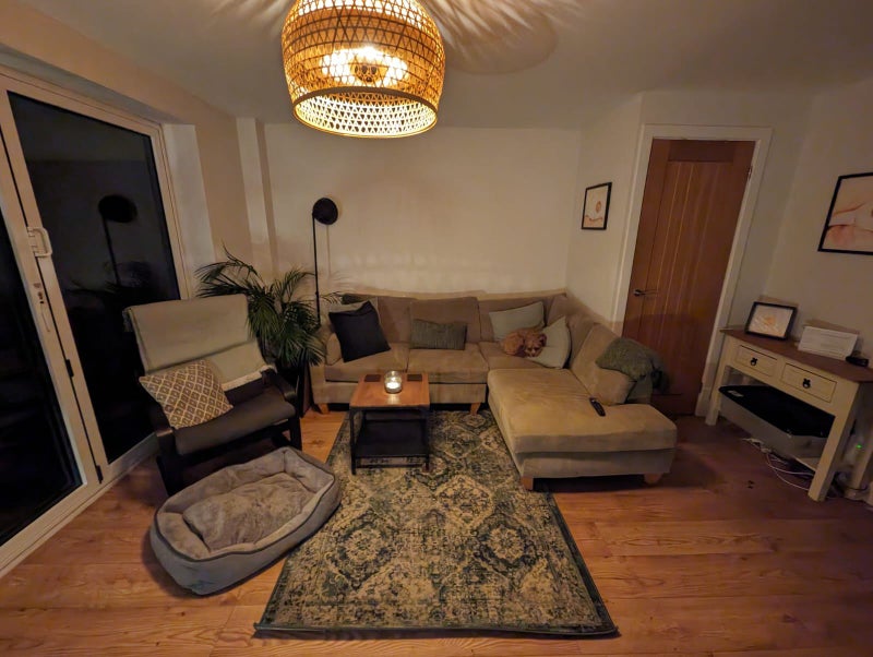 Photo 1: Cosy Living Room + Dog