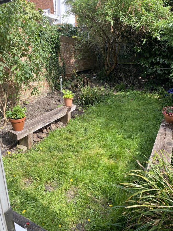 Photo 1: gorgeous sunny garden