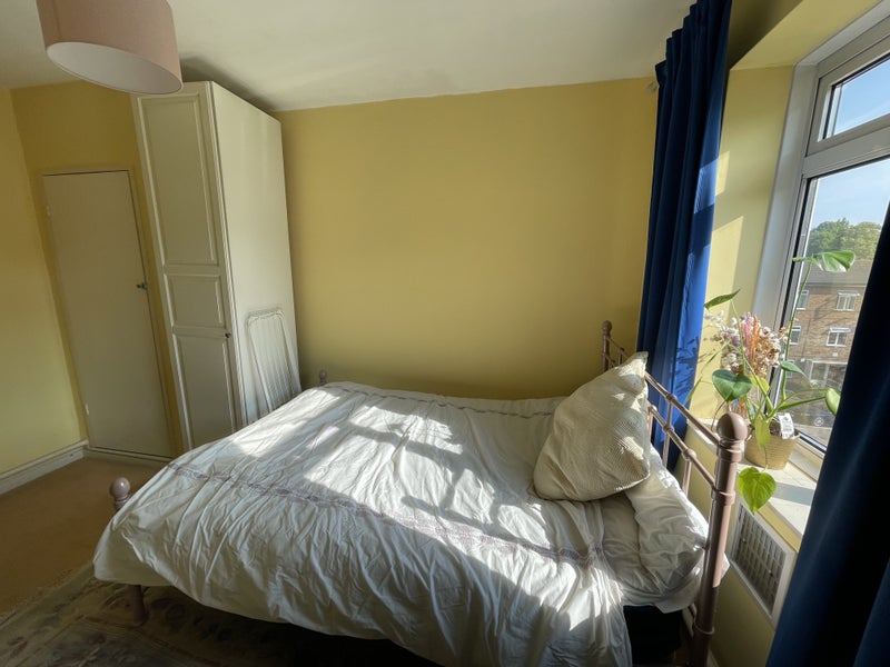 Photo 1: Room (Yours)