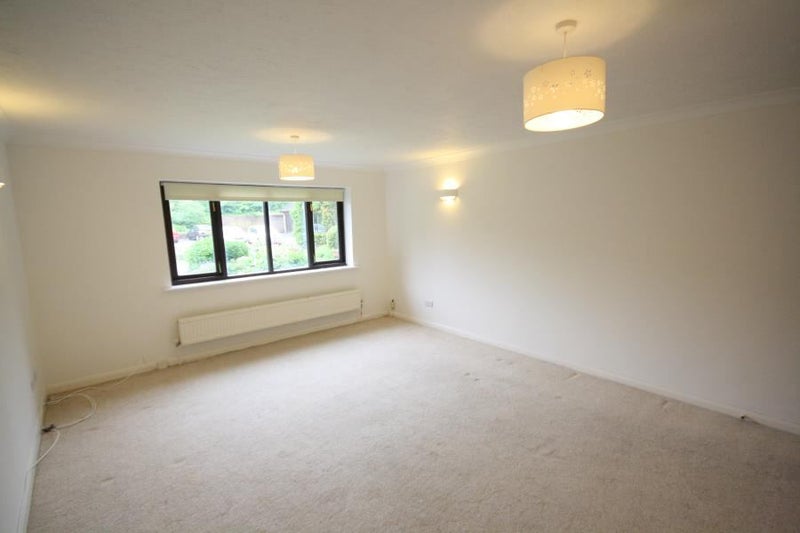 Photo 1: Living Room