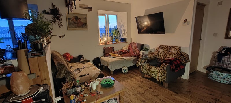 Photo 1: Living space