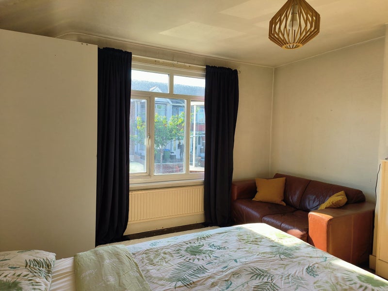 Photo 1: Room # 5 'Available' South West window, leather sofa, new orthopedic mattress, faux rabbit rug