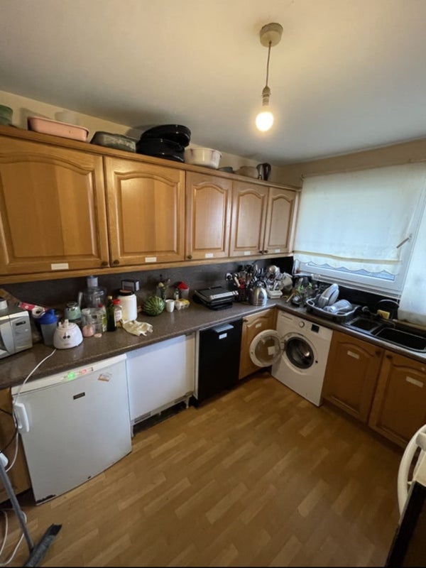'Cheap Single Room Avl Now In Mile End ' Room to Rent from SpareRoom