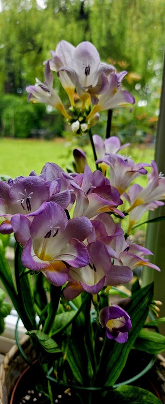 Photo 1: Peace, Calm, Security ,,,