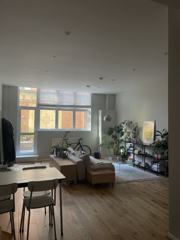 Photo 1: Open Plan Living Kitchen and Dining