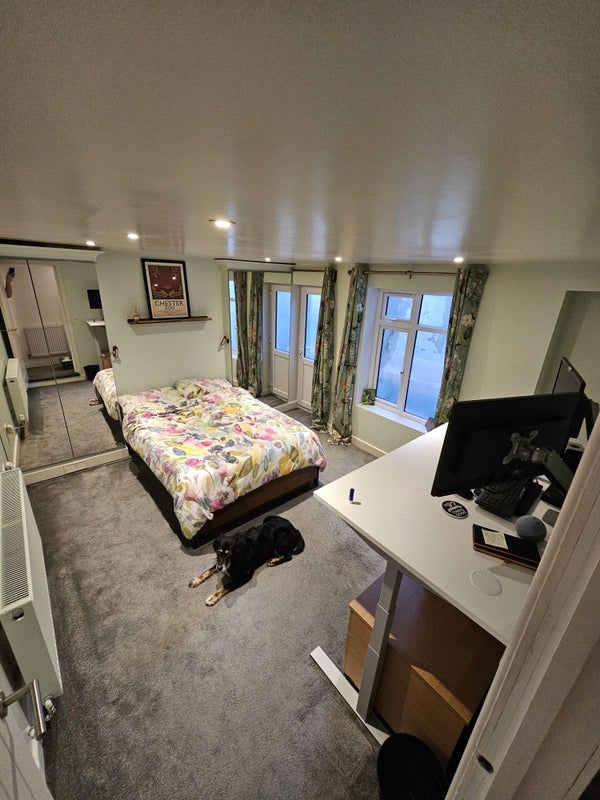 Photo 1: XL Double room available