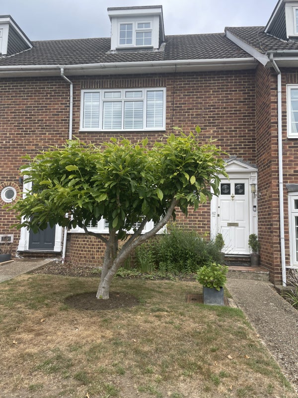 Photo 1: Room to rent in lovely quiet house near train station 