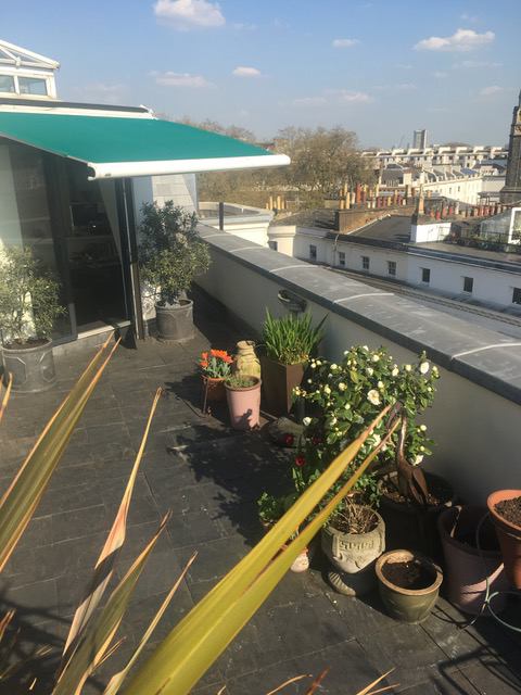 Photo 1: Roof Terrace