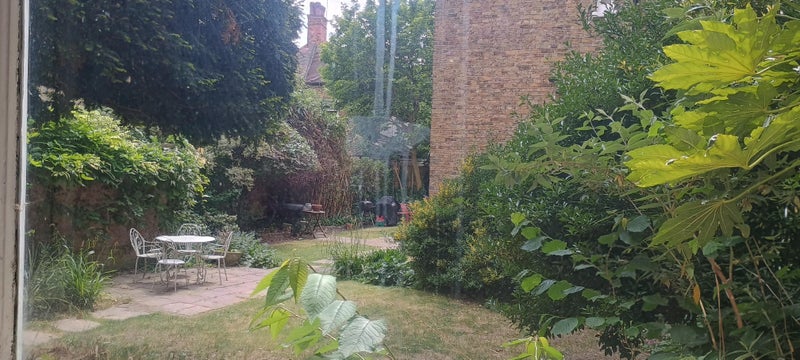 Photo 1: View from the kitchen