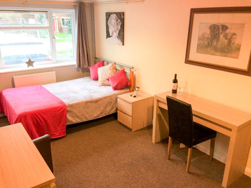 Photo 1: Lovely Dbl in Quiet, Professional, Friendly H/S