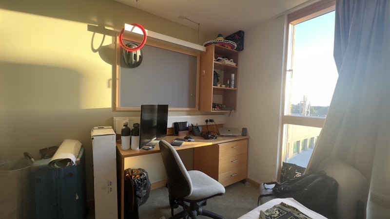 Photo 1: room receives plenty of sun