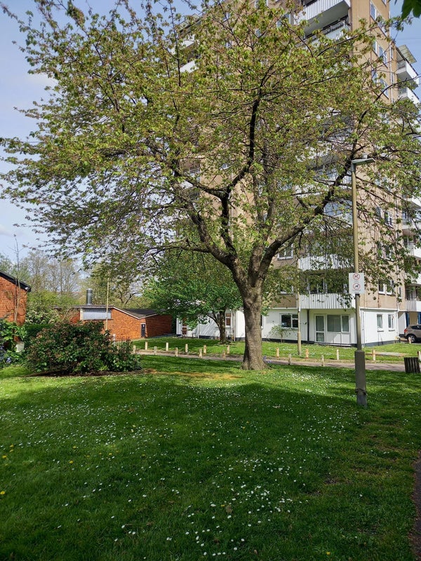 Photo 1: The building