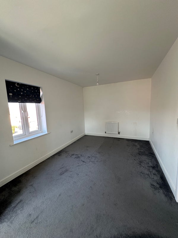 Photo 1: Room