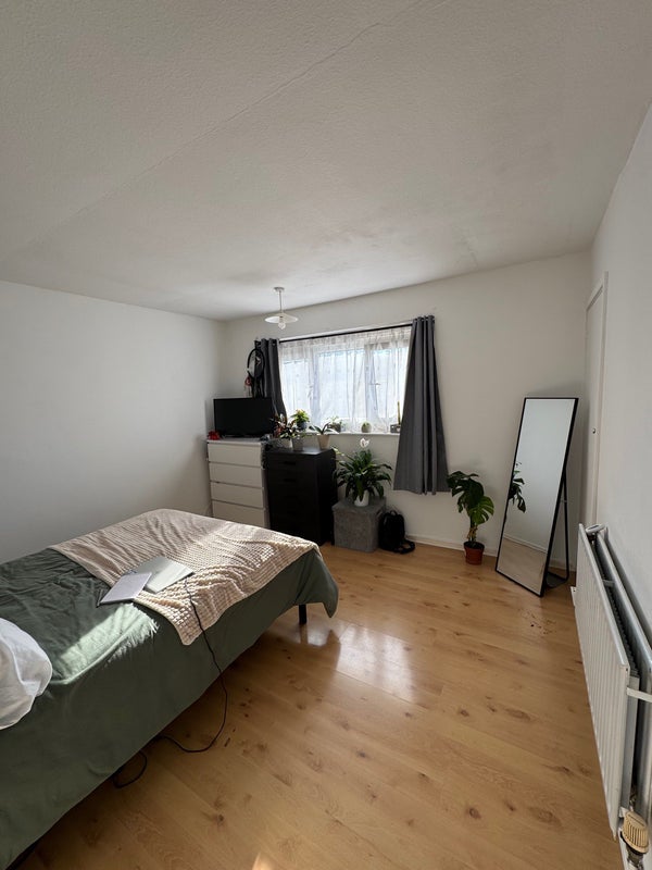 Photo 1: Room (Yours)