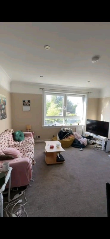 Photo 8: Living room