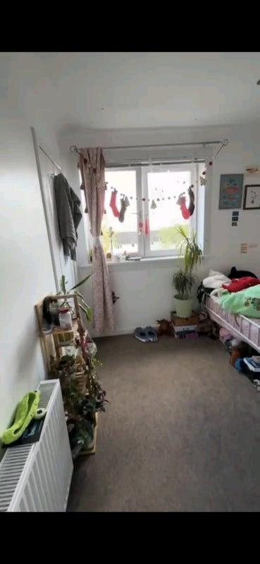 Photo 5: Your room (will be clean with no knick knacks out)