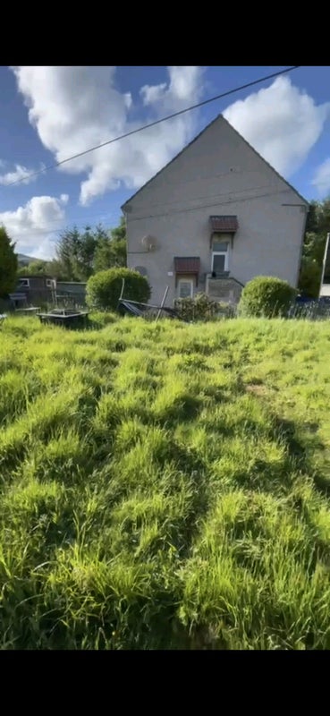 Photo 1: Back garden