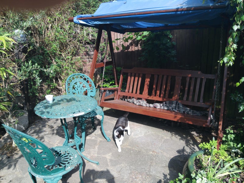 Photo 1: garden