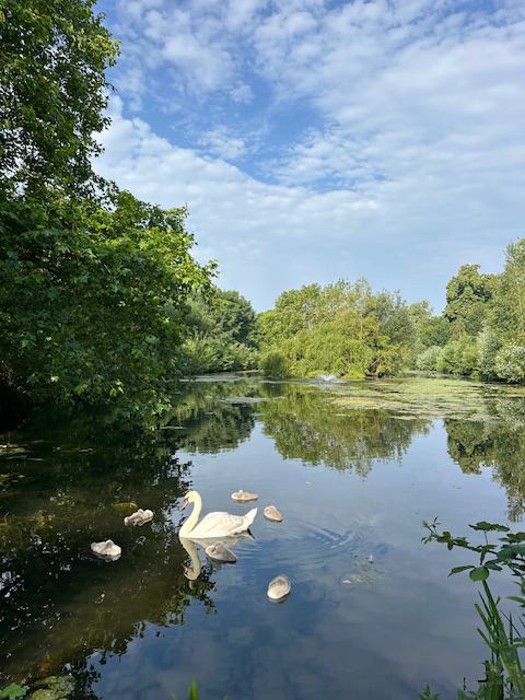 Photo 1: Clissold Park 