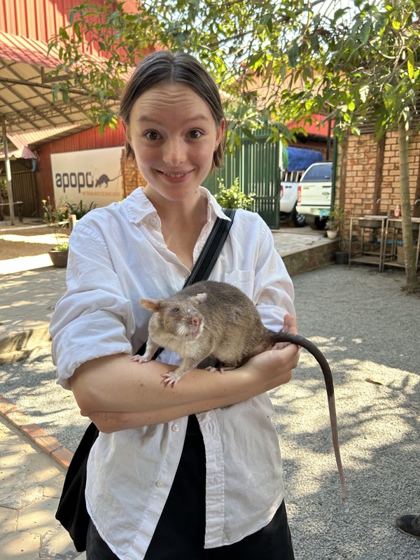 Photo 1: cool rat i met!